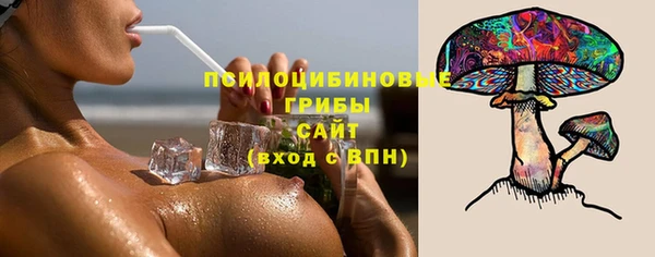 сатива Зеленокумск