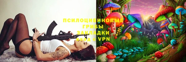 таблы Белокуриха