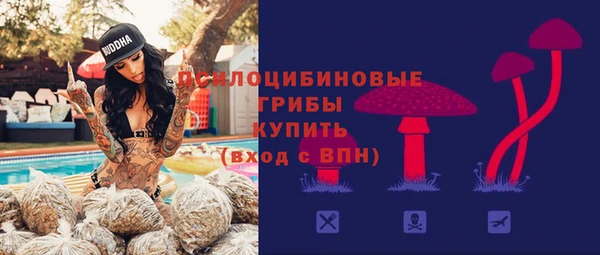 таблы Белокуриха