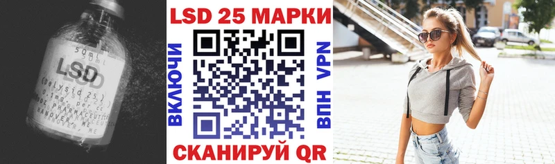блэк спрут как зайти  Куровское  Лсд 25 экстази кислота 