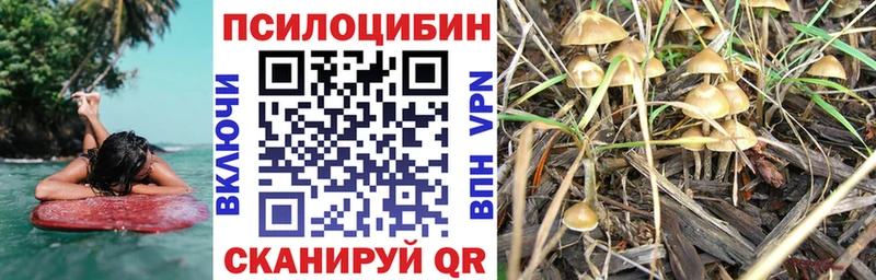 как найти mega вход Галлюциногенные грибы Magic Shrooms Куровское