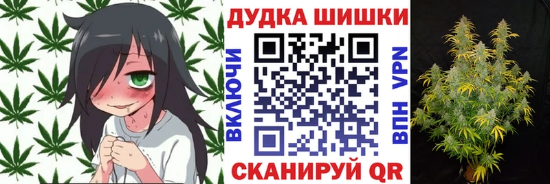 Бошки Шишки Amnesia  хочу наркоту  Куровское 